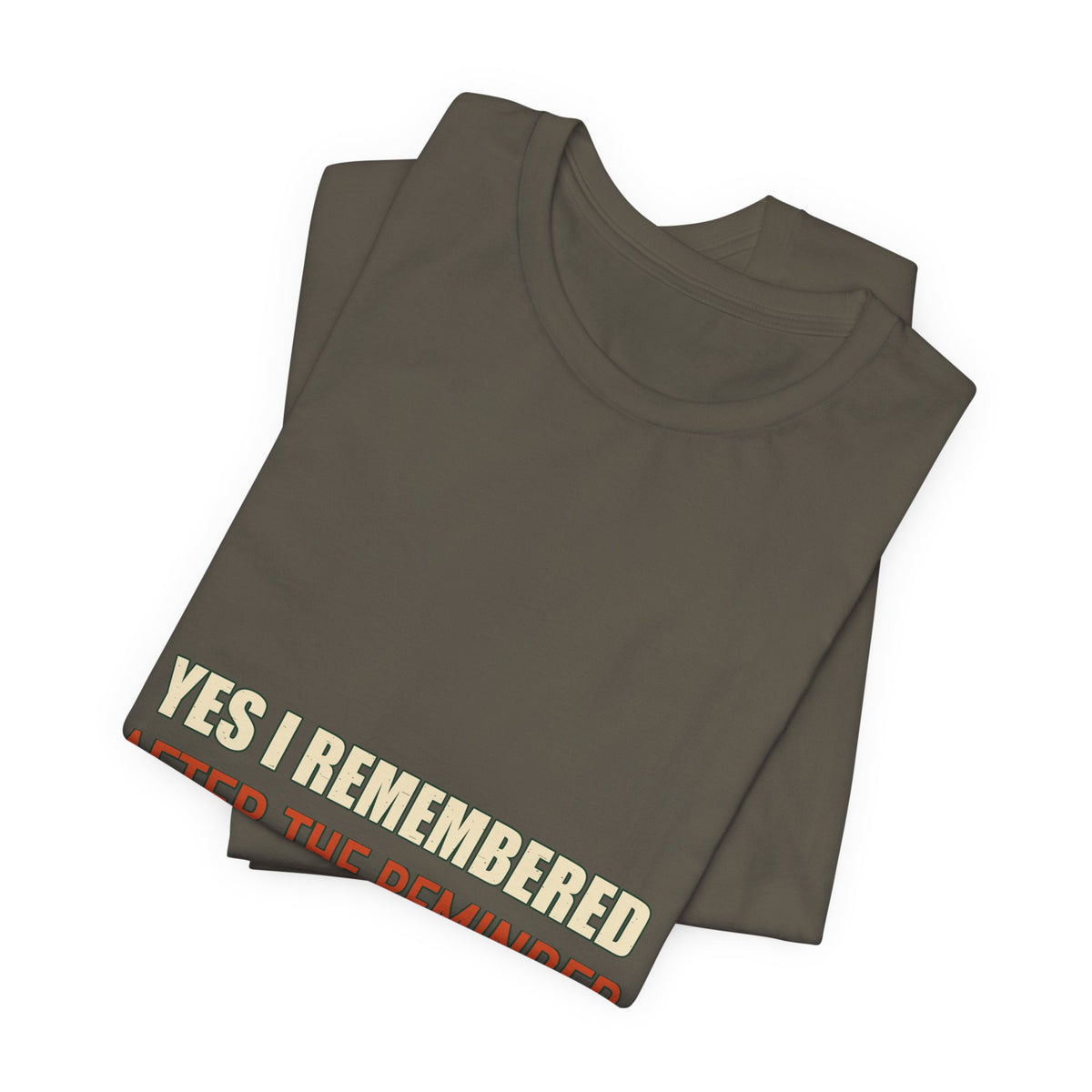 Yes I Remembered After the Reminder T-Shirt — Funny Vintage Quote Tee