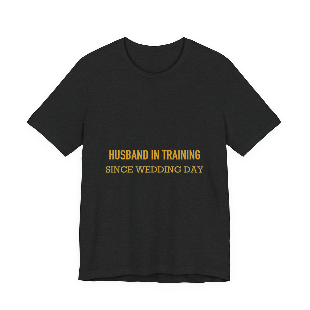 Husband in Training T-Shirt — Since Wedding Day Vintage Marriage Humor Tee
