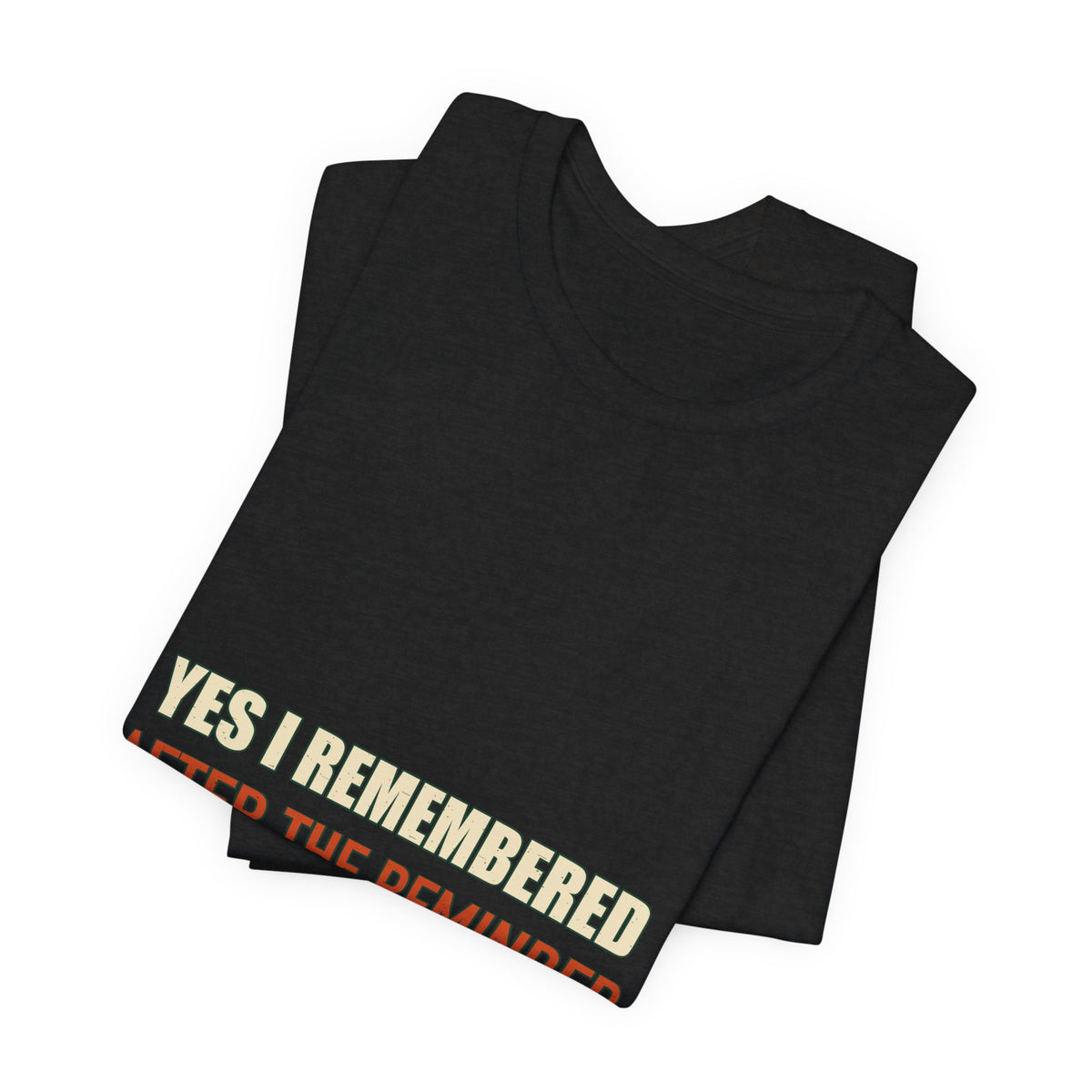 Yes I Remembered After the Reminder T-Shirt — Funny Vintage Quote Tee