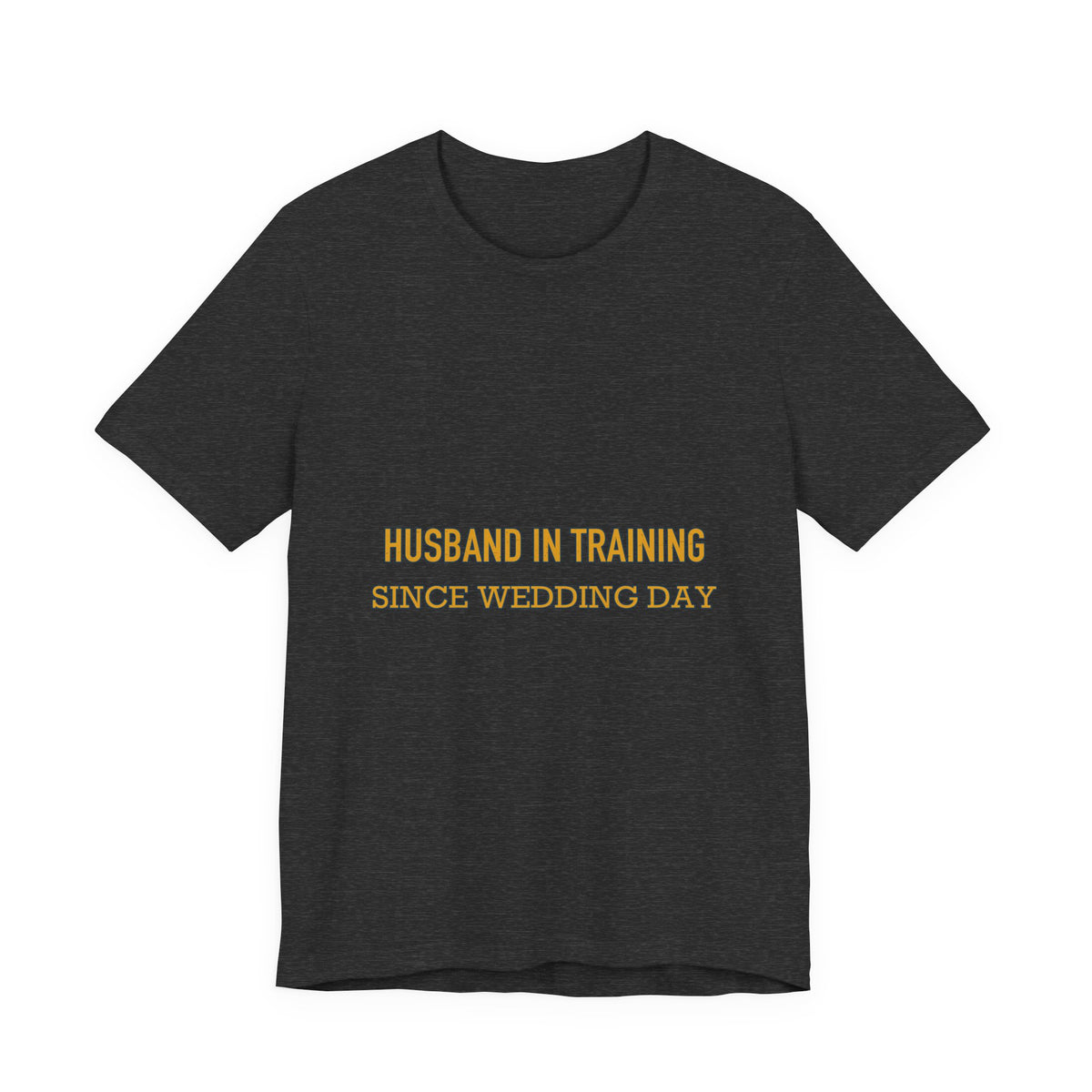 Husband in Training T-Shirt — Since Wedding Day Vintage Marriage Humor Tee