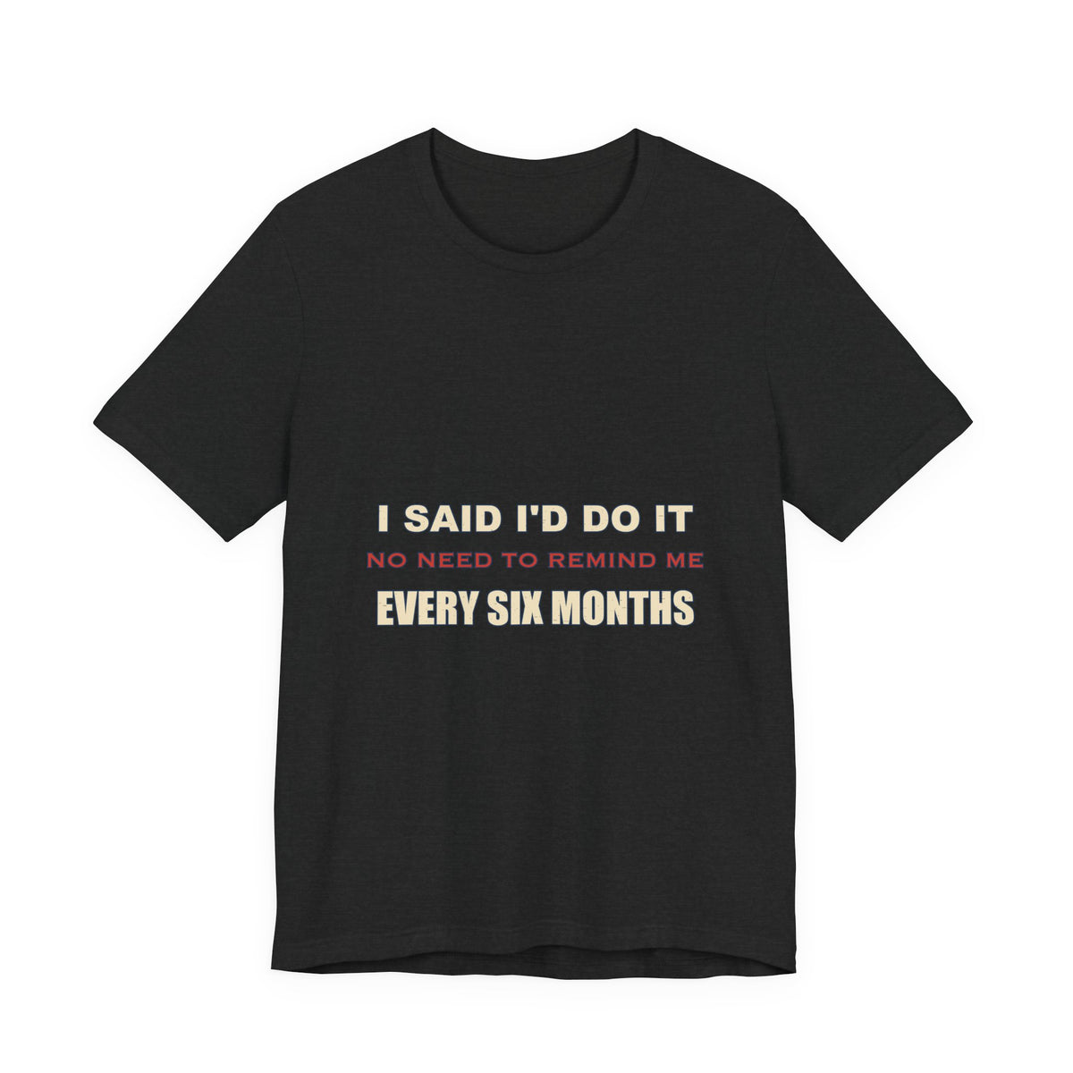 I Said I'd Do It Every Six Months T-Shirt — Funny Procrastination Humor Tee