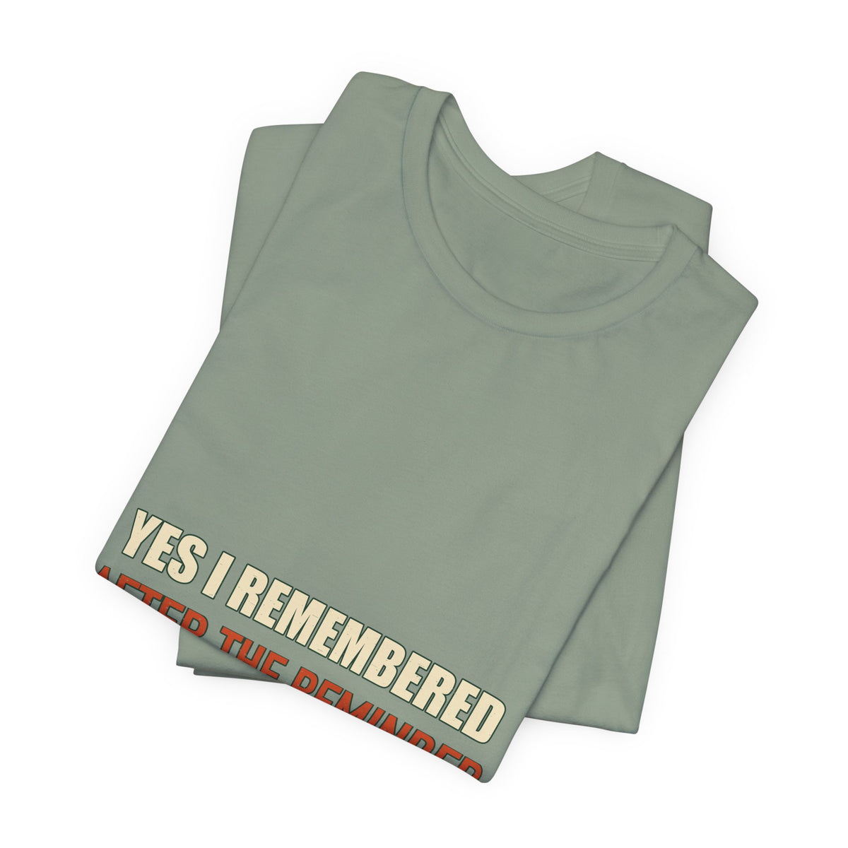Yes I Remembered After the Reminder T-Shirt — Funny Vintage Quote Tee