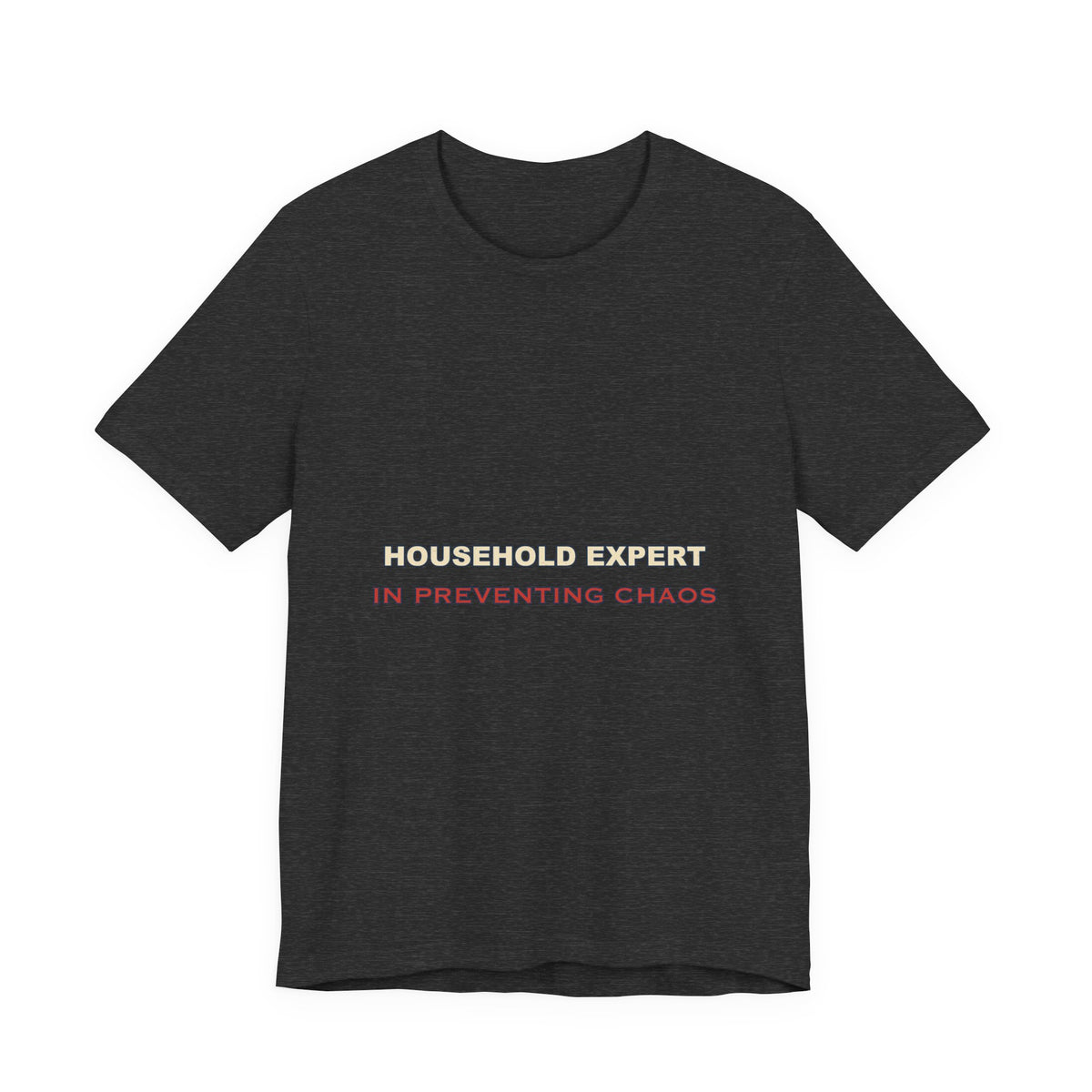 Household Expert in Preventing Chaos T-Shirt — Funny Home Organizer Vintage Tee