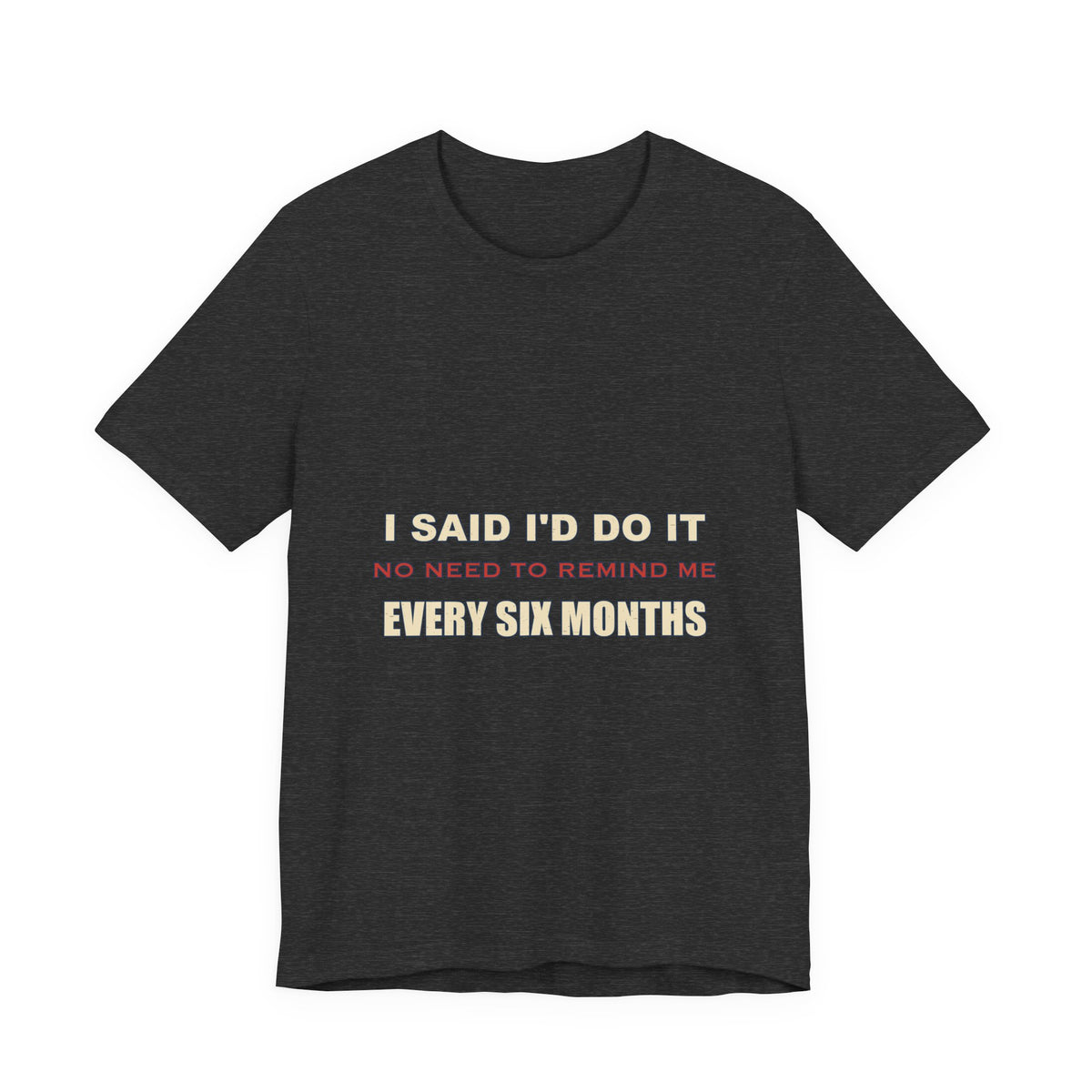 I Said I'd Do It Every Six Months T-Shirt — Funny Procrastination Humor Tee