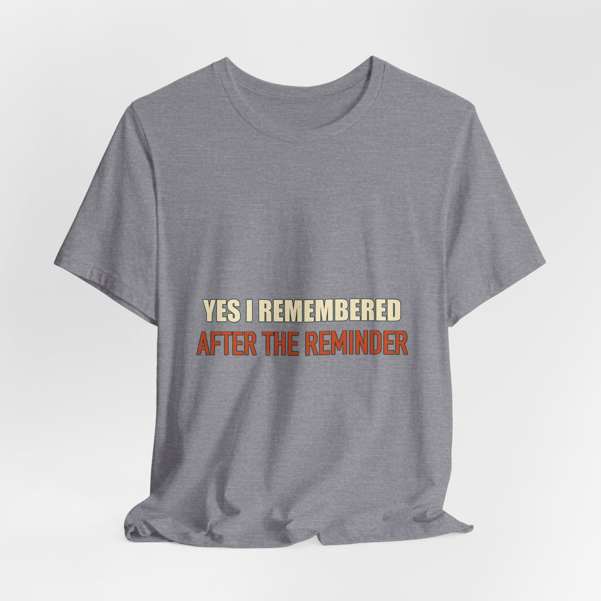 Yes I Remembered After the Reminder T-Shirt — Funny Vintage Quote Tee